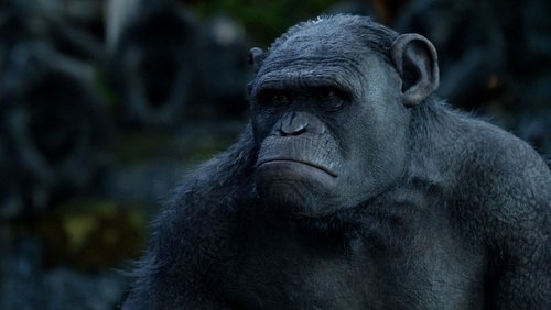 Dawn of the Planet of the Apes - Sự Khởi Đầu Của Hành Tinh Khỉ - Hình 1