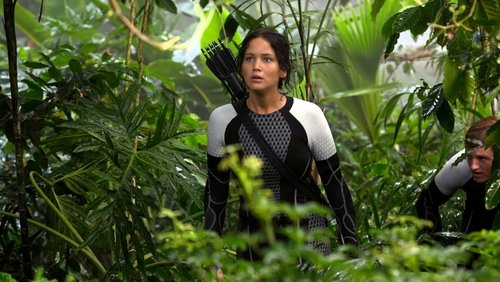 The Hunger Games: Catching Fire - Đấu Trường Sinh Tử 2: Bắt Lửa - Hình 3