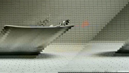 A Cure for Wellness - Phương Thuốc Kỳ Lạ - Hình 1