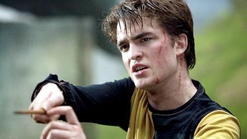 Harry Potter And The Goblet Of Fire - Harry Potter Và Chiếc Cốc Lửa - Hình 2