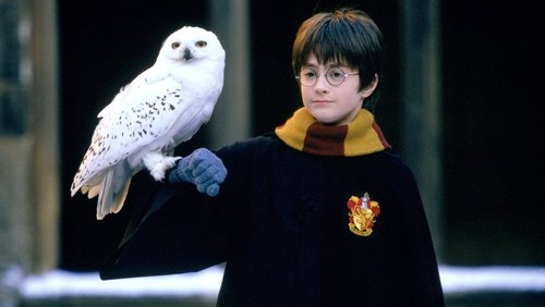 Harry Potter And The Sorcerer's Stone - Harry Potter Và Hòn Đá Phù thủy - Hình 2