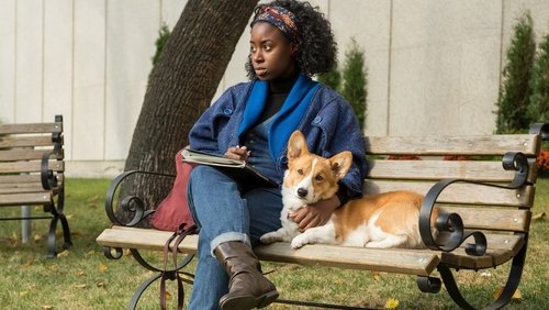 A Dog's Purpose - Mục Đích Sống Của Một Chú Chó - Hình 2