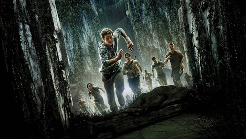 The Maze Runner - Giải Mã Mê Cung - Hình 4