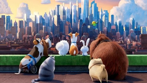 The Secret Life of Pets - Đẳng Cấp Thú Cưng - Hình 3