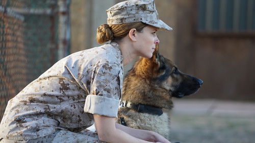 Megan Leavey - Hạ Sĩ Megan - Hình 5