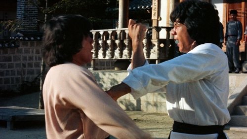 Dragon Fist - Long Quyền - Hình 1