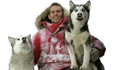 Eight Below - Âm Tám Độ - Hình 5