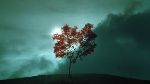 The Ring - Vòng Tròn Oan Nghiệt || Tiếng Chuông - Hình 4