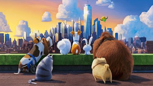 The Secret Life of Pets - Đẳng Cấp Thú Cưng - Hình 4
