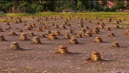 The Good Dinosaur - Chú Khủng Long Tốt Bụng - Hình 4