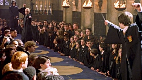 Harry Potter And The Chamber Of Secrets - Harry Potter Và Phòng Chứa Bí mật - Hình 3