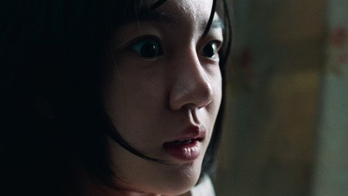 A Tale of Two Sisters - Câu Chuyện Hai Chị Em - Hình 2