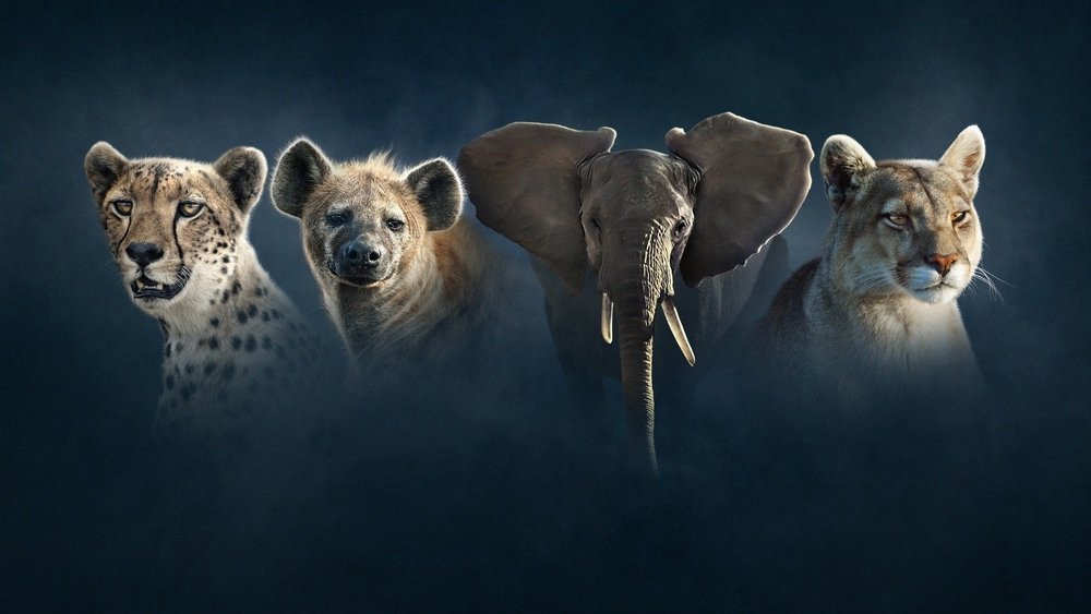 Background