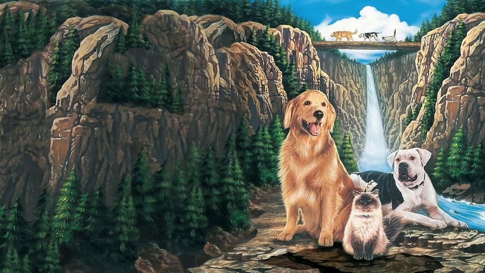 Background