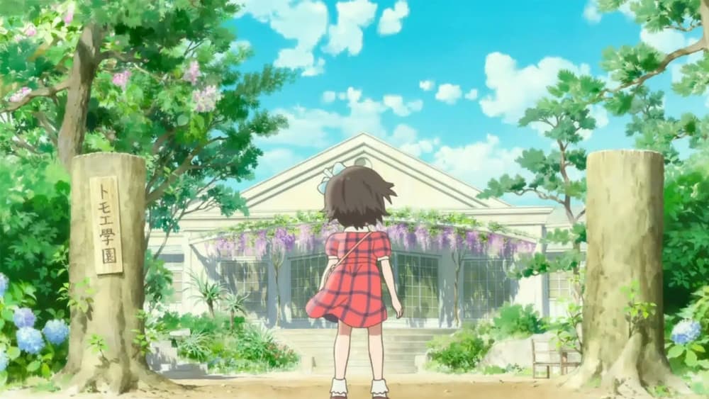 Background