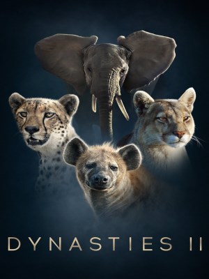 Xem phim Dynasties II online